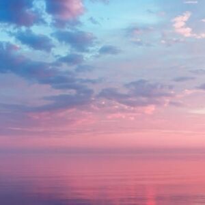 COPY - Rebundle for Shannon + CCO